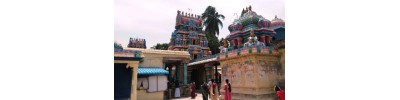 081. திருக்கருகாவூர்